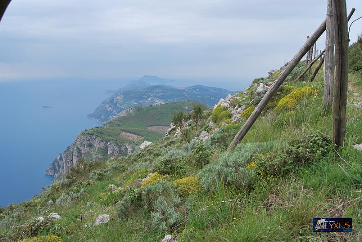 panorama della penisola.JPG